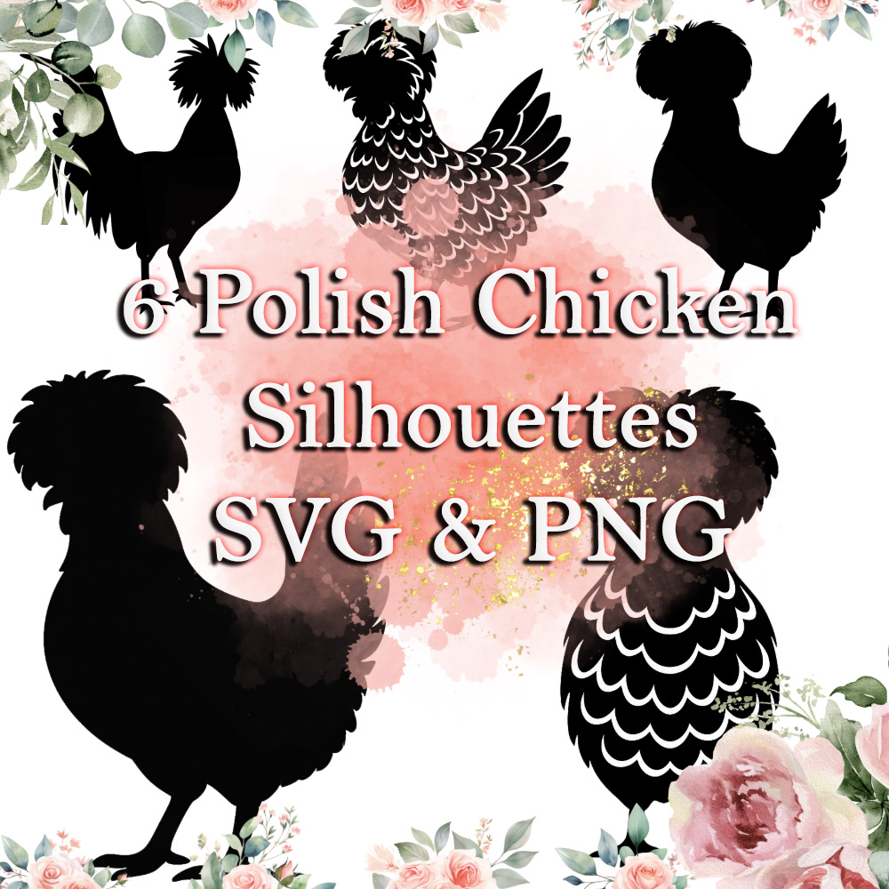 6 Polish Chicken Silhouettes - SVG & PNG - Digital Download