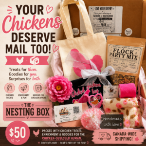 Deluxe Nesting Box