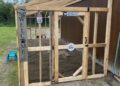 How Much Space Do Chickens Really Need?