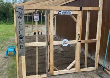 How Much Space Do Chickens Really Need?