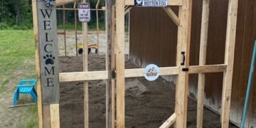 How Much Space Do Chickens Really Need?