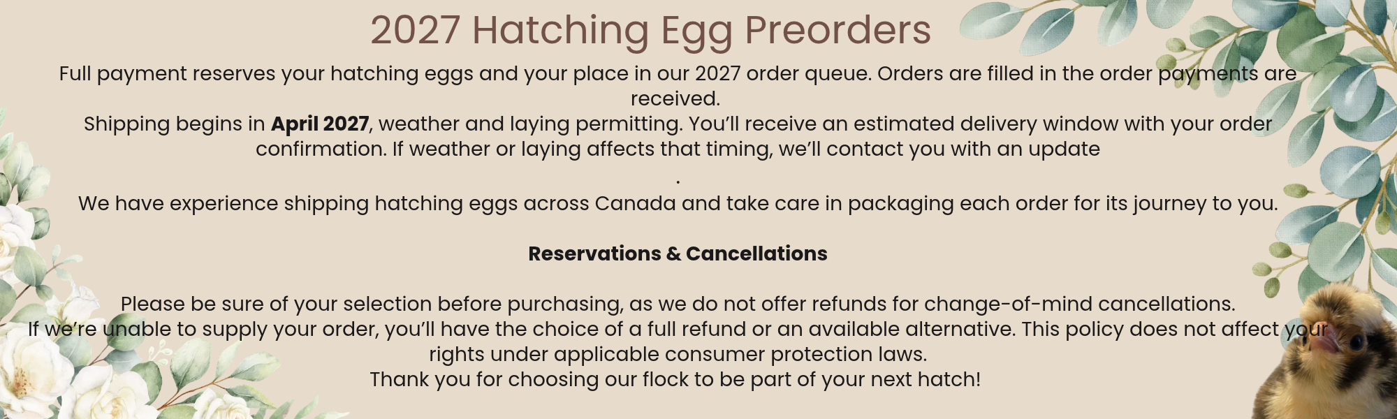 2027 Hatching Egg Preorder Information
